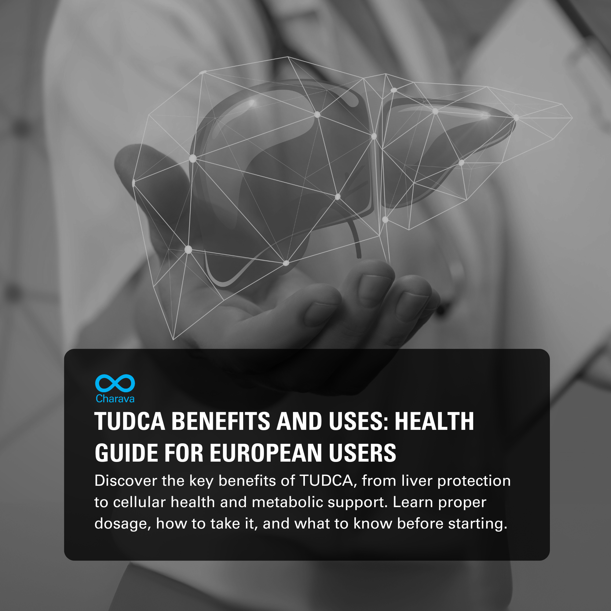 TUDCA Benefits: Key Uses, Health Effects, and Practical Guidance - Charava Europe