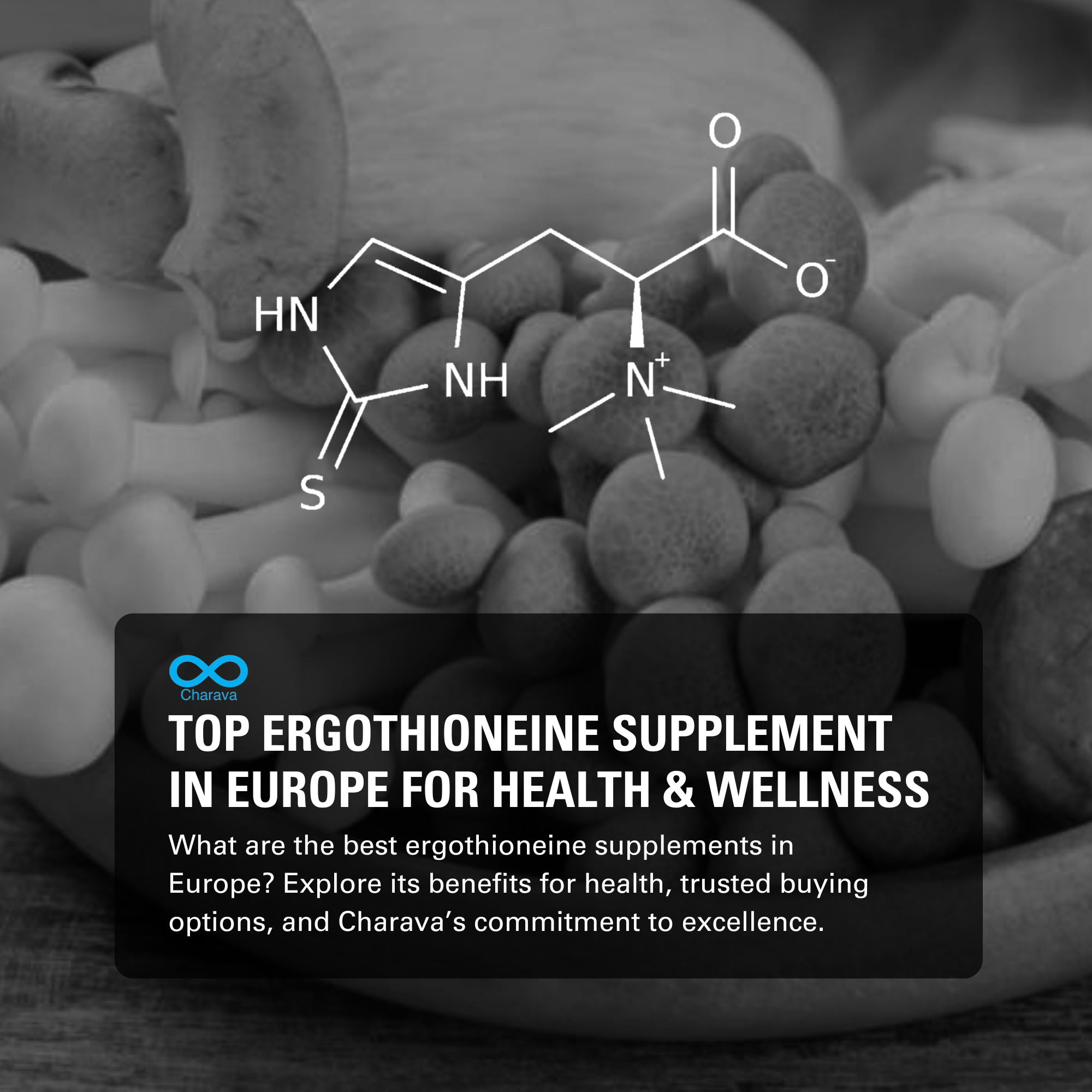 Discover the Best Ergothioneine Supplement in Europe | Charava Europe