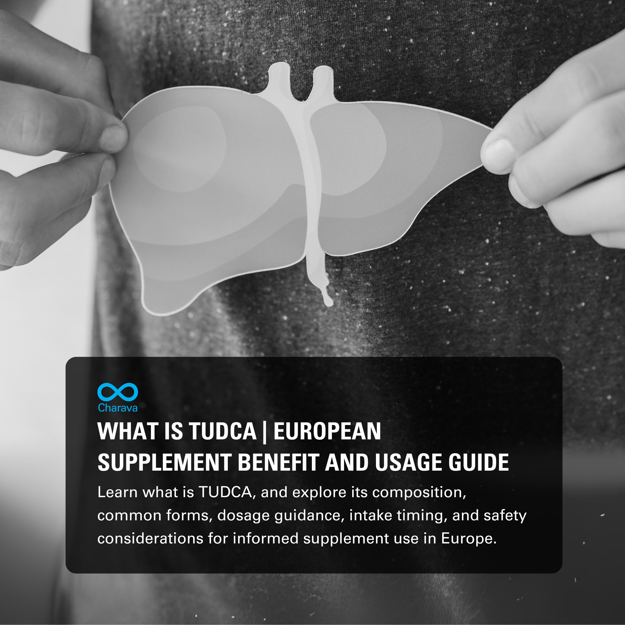 What is TUDCA: Understanding This Popular Supplement and Benefits - Charava Europe