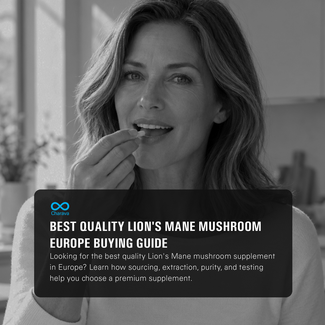 Best Quality Lion's Mane Mushroom Europe Buying Guide